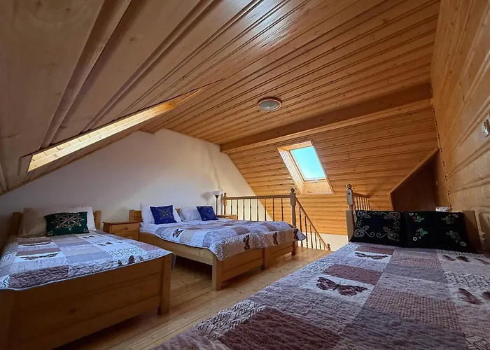 בית אירוח Dom Madeyski שצ'בניצה